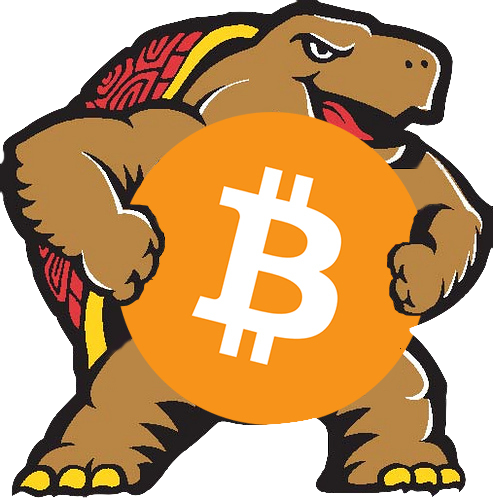 An image of the University of Maryland's logo holding the Bitcoin logo. The University of Maryland's logo is a terrapin, which is a type of turtle, with a red shell. The Bitcoin logo is an orange circle with a large, white B in the middle with lines going through it vertically.